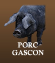 PORC GASCON