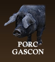 PORC GASCON